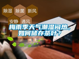 常見問題梅雨季天氣潮濕悶熱，如何儲存茶葉？