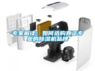 常見問題專家解讀：如何選購真正專業的除濕機品牌