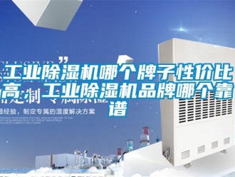 企業新聞工業除濕機哪個牌子性價比高，工業除濕機品牌哪個靠譜