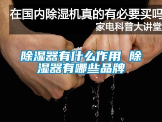 行業新聞除濕器有什么作用 除濕器有哪些品牌