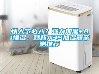 知識百科情人節(jié)必入？強(qiáng)力加濕+AI恒濕，秒新A3S加濕器親測推薦