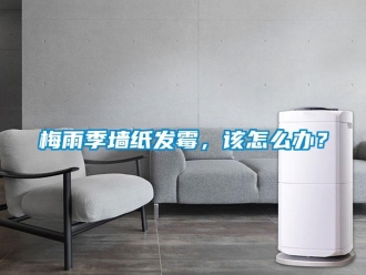 常見問題梅雨季墻紙發(fā)霉，該怎么辦？