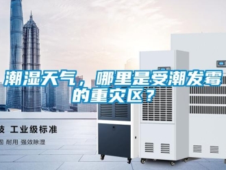 企業(yè)新聞潮濕天氣，哪里是受潮發(fā)霉的重災(zāi)區(qū)？