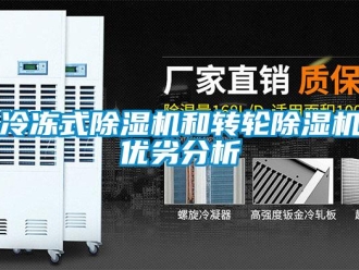 行業(yè)新聞冷凍式除濕機和轉(zhuǎn)輪除濕機優(yōu)劣分析