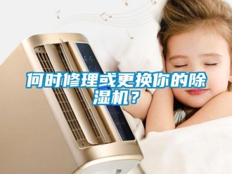 行業新聞何時修理或更換你的除濕機？