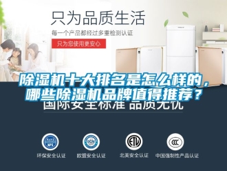 企業(yè)新聞除濕機(jī)十大排名是怎么樣的，哪些除濕機(jī)品牌值得推薦？