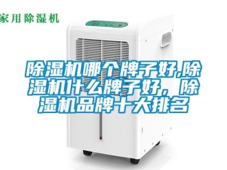 企業新聞除濕機哪個牌子好,除濕機什么牌子好，除濕機品牌十大排名