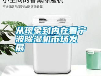 企業新聞從現象到內在看寧波除濕機市場發展