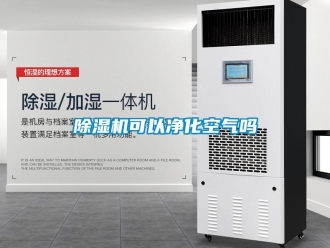 行業新聞除濕機可以凈化空氣嗎