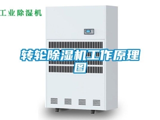 常見問題轉輪除濕機工作原理圖