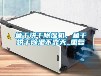 行業(yè)新聞魚干烘干除濕機(jī)，魚干烘干除濕不靠天_重復(fù)