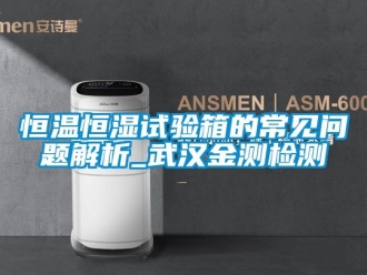 知識(shí)百科恒溫恒濕試驗(yàn)箱的常見(jiàn)問(wèn)題解析_武漢金測(cè)檢測(cè)