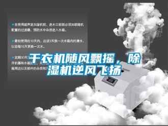 企業新聞干衣機隨風飄搖，除濕機逆風飛揚