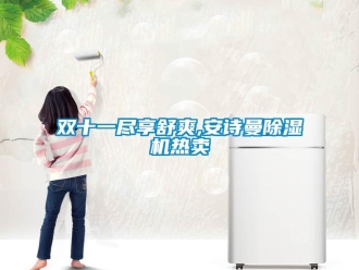 企業新聞雙十一盡享舒爽,安詩曼除濕機熱賣