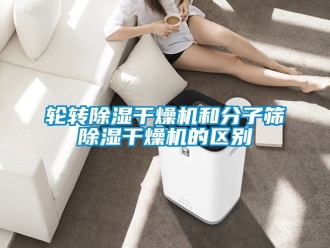 行業(yè)新聞輪轉(zhuǎn)除濕干燥機和分子篩除濕干燥機的區(qū)別