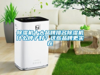 企業(yè)新聞除濕機(jī)十大品牌排名除濕機(jī)什么牌子好？這些品牌更實(shí)在