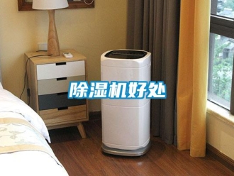 常見問題除濕機好處