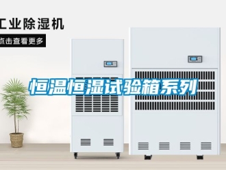 知識百科恒溫恒濕試驗(yàn)箱系列