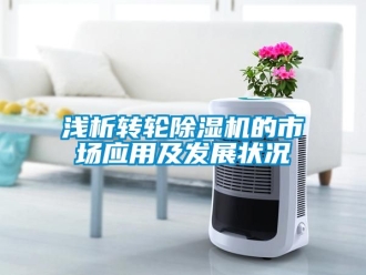 常見問題淺析轉(zhuǎn)輪除濕機(jī)的市場應(yīng)用及發(fā)展?fàn)顩r