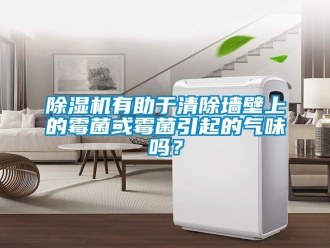 行業新聞除濕機有助于清除墻壁上的霉菌或霉菌引起的氣味嗎？