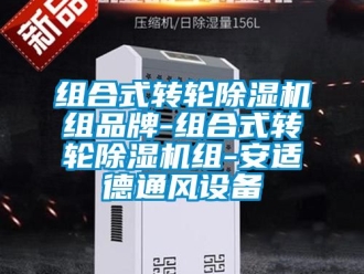 常見問題組合式轉(zhuǎn)輪除濕機(jī)組品牌-組合式轉(zhuǎn)輪除濕機(jī)組-安適德通風(fēng)設(shè)備