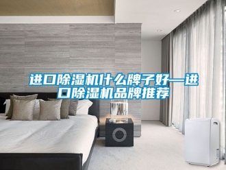 企業新聞進口除濕機什么牌子好—進口除濕機品牌推薦