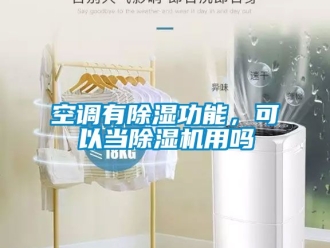 行業(yè)新聞空調(diào)有除濕功能，可以當(dāng)除濕機(jī)用嗎
