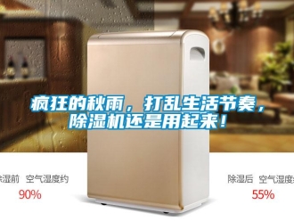 企業(yè)新聞瘋狂的秋雨，打亂生活節(jié)奏，除濕機還是用起來！