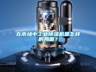 常見問題在市場中工業(yè)除濕機(jī)是怎樣的局面？