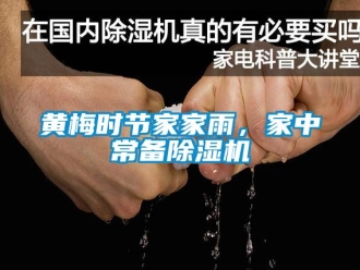 行業新聞黃梅時節家家雨，家中常備除濕機
