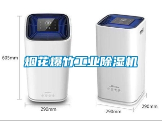 知識(shí)百科煙花爆竹工業(yè)除濕機(jī)