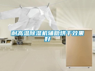 行業(yè)新聞耐高溫除濕機(jī)輔助烘干效果好