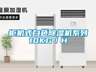 行業(yè)新聞柜機(jī)式白色除濕機(jī)系列10KG／H