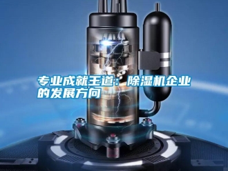 知識(shí)百科專(zhuān)業(yè)成就王道：除濕機(jī)企業(yè)的發(fā)展方向