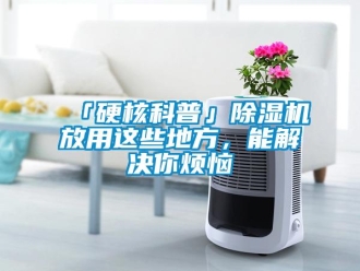 企業新聞「硬核科普」除濕機放用這些地方，能解決你煩惱