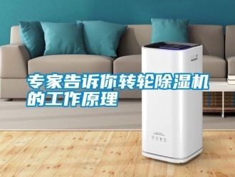 知識(shí)百科專(zhuān)家告訴你轉(zhuǎn)輪除濕機(jī)的工作原理