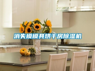 知識百科消失模模具烘干房除濕機