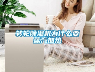 常見問題轉輪除濕機為什么要蒸汽加熱