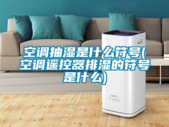 企業(yè)新聞空調(diào)抽濕是什么符號(空調(diào)遙控器排濕的符號是什么)