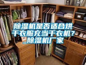 企業新聞除濕機是否適合烘干衣服充當干衣機？_除濕機廠家