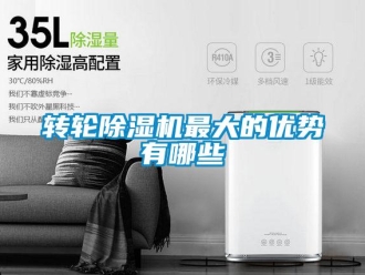 知識(shí)百科轉(zhuǎn)輪除濕機(jī)最大的優(yōu)勢有哪些