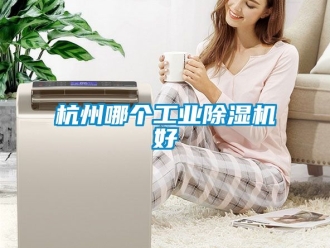 常見問題杭州哪個工業除濕機好