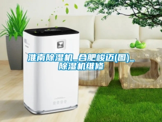 行業(yè)新聞淮南除濕機(jī)_合肥峻邁(圖)_除濕機(jī)維修