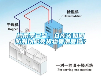 常見問題梅雨季已至，倉庫該如何防潮以避免貨物受潮受損？