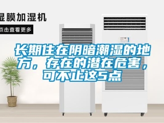 知識百科長期住在陰暗潮濕的地方，存在的潛在危害，可不止這5點