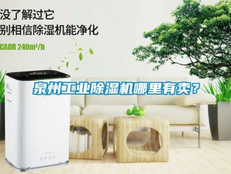 常見問題泉州工業(yè)除濕機哪里有賣？