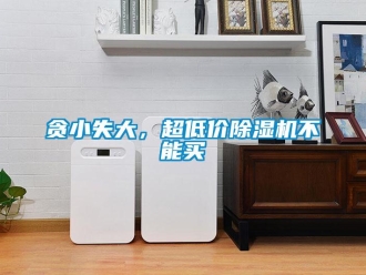 知識百科貪小失大，超低價除濕機不能買
