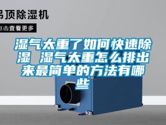企業(yè)新聞濕氣太重了如何快速除濕 濕氣太重怎么排出來(lái)最簡(jiǎn)單的方法有哪些