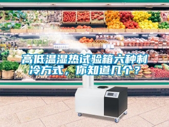 常見問題高低溫濕熱試驗(yàn)箱六種制冷方式，你知道幾個(gè)？