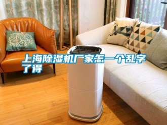 知識百科上海除濕機(jī)廠家怎一個(gè)亂字了得